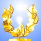 Premios Mad-Gestion web con 5 estrellas